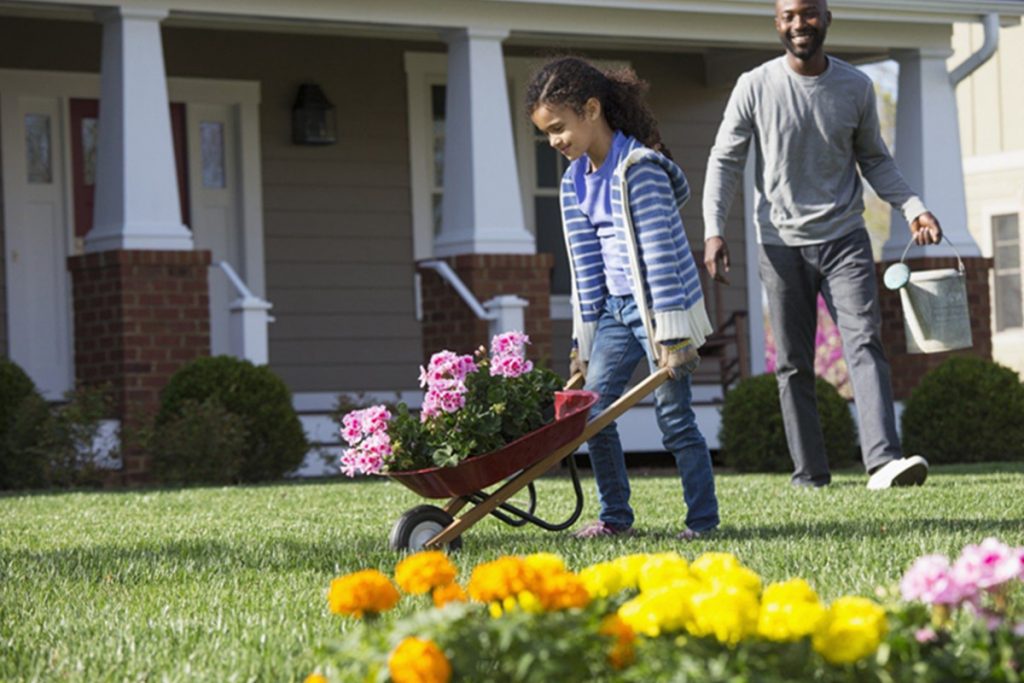 Best Tips For Laying A Flowerbed